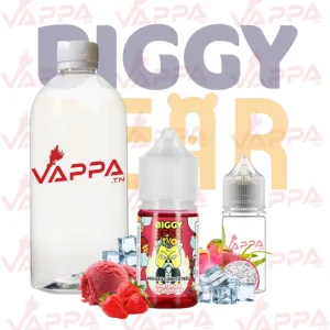 biggy bear sorbet-fraise-fruit-du-dragon-evo Biggy Bear Limonade Citron Vert Myrtilles Sauvages Premix®
