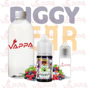 biggy bear Fusion de Baies Sauvages Biggy Bear Fusion de Baies Sauvages Premix®